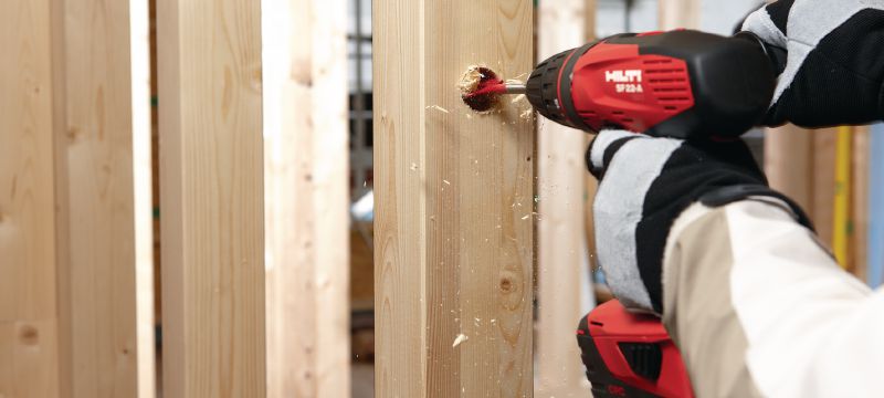 Mũi khoét gỗ WDB-S Mũi khoét gỗ để khoan nhanh tạo lỗ nông trên gỗ Các ứng dụng 1